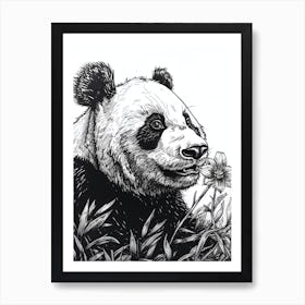 Giant Panda Sniffing A Flower Ink Illustration 1 Art Print