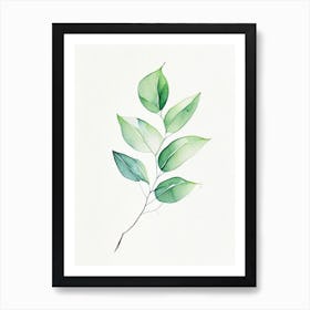 Wintergreen Leaf Minimalist Watercolour 6 Art Print