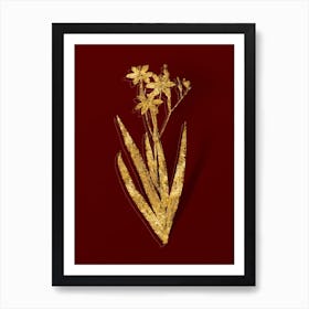 Vintage Blackberry Lily Botanical in Gold on Red n.0311 Art Print