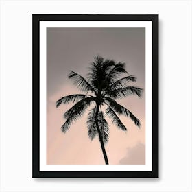 Silhouette Of Palm Tree Art Print