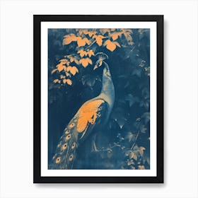 Orange & Blue Peacock In The Ivy 3 Art Print