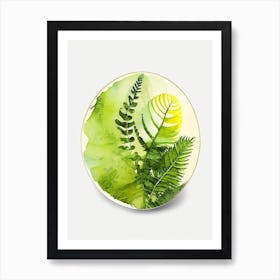 Lemon Button Fern Watercolour Art Print