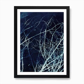 Twigs In Winter Art Print