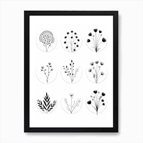 Collection Of Plants In Black And White Line Art 4 Art Print