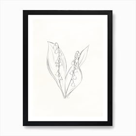 Lily Of The Valley In Pencil Art Print