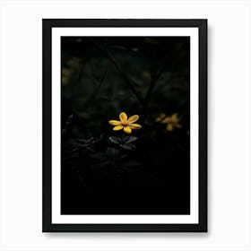 Yellow Flower In The Dark 1 Art Print