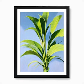 Prayer Plant Bold Graphic Art Print