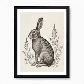 Harlequin Blockprint Rabbit Illustration 4 Art Print