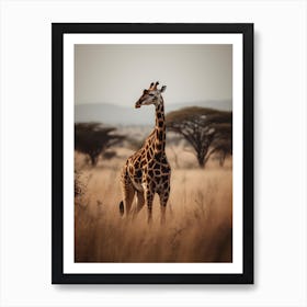 Giraffe In The Savannah 1 Art Print