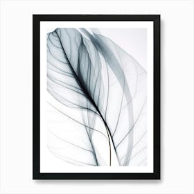 Leaf In Black And White Art Print