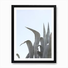 Charming Agave Art Print