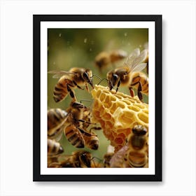 Halictidae Bee Realism Illustration 1 Art Print