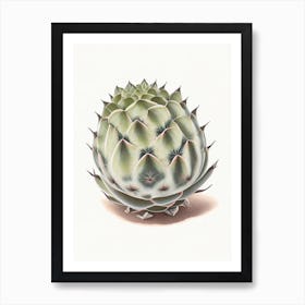 Lophophora Williamsii Marker Art Art Print