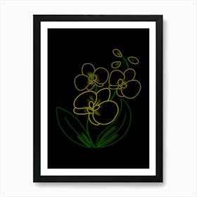 Orchids On A Black Background Art Print