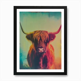 Highland Cattle Polaroid Inspired 2 Art Print