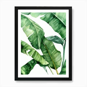 Green Banana Leaves Art Print