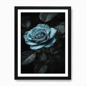 Blue Rose 3 Art Print