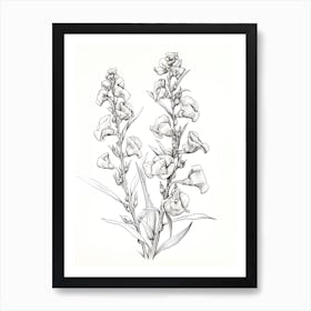 Snapdragons Flower Vintage Botanical 2 Art Print