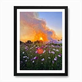 A Multitude Of Flowers Blossoming In The Center Their Petals Transitioning From Yellow To Pink To W (6) Art Print