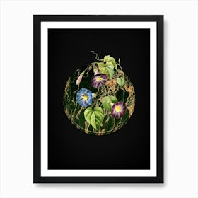 Vintage Morning Glory Botanical in Gilded Marble on Shadowy Black Art Print