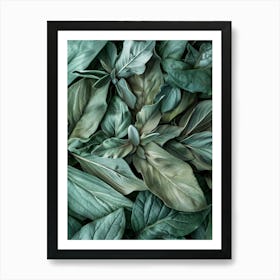 Green Leaves Background 2 Art Print