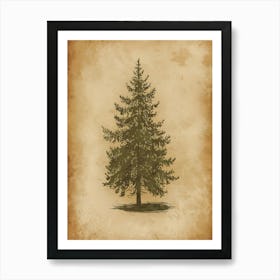 Fir Tree Art Print