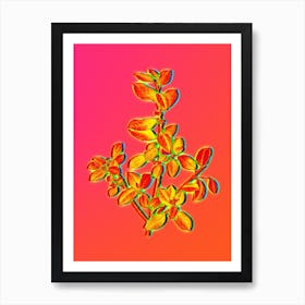 Neon Italian Buckthorn Botanical in Hot Pink and Electric Blue n.0586 Art Print