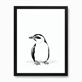 Galapagos Penguin Black & White Drawing Art Print