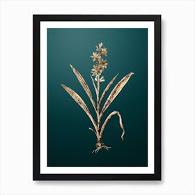 Gold Botanical Wachendorfia Thyrsiflora on Dark Teal n.2880 Art Print