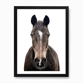 Black Horse Portrait Art Print