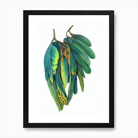 Pygmy Date Palm (Phoenix Roebelenii) Watercolor Art Print