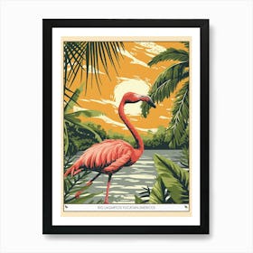 Greater Flamingo Rio Lagartos Yucatan Mexico Tropical Illustration 1 Poster Art Print