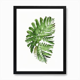 Leatherleaf Fern 3 Watercolour Art Print