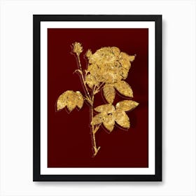 Vintage French Rose Botanical in Gold on Red n.0229 Art Print