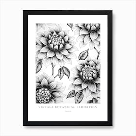 Dahlia B&W Vintage Botanical Poster Art Print