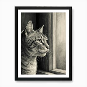 Cat Looking Out The Window 3 Art Print