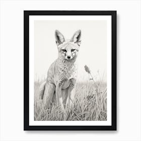 Bengal Fox In A Field Pencil Drawing 4 Art Print