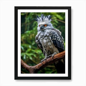 Perched Predation: Harpy Eagle Art Art Print