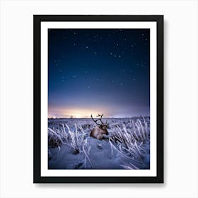 Baby Reindeer Nestled In Frost Kissed Grass Surrounded By A Starry Winter Meadow Soft Fur Contrast Art Print