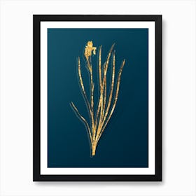 Vintage Siberian Iris Botanical in Gold on Teal Blue n.0187 Art Print