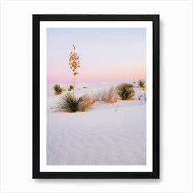 Pink Desert Sunset Art Print