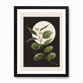 Beautiful Plant Leaves 1 Art Print