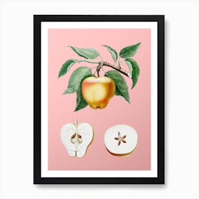Vintage Carla Apple Botanical on Soft Pink Art Print