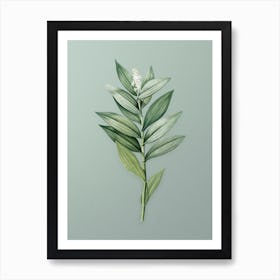 Vintage Smilacina Stellata Botanical Art on Mint Green n.0083 Art Print