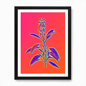 Neon Sage Plant Botanical in Hot Pink and Electric Blue n.0044 Art Print