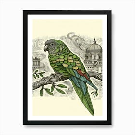 Clover Parrot On A Branch Affiche