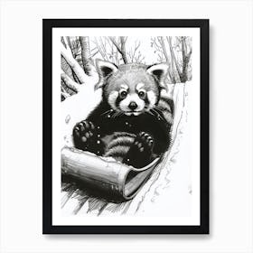 Red Panda Cub Sledding Down A Snowy Hill Ink Illustration 3 Art Print