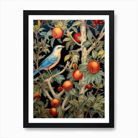 Bluebird With Pomegranate Art Print