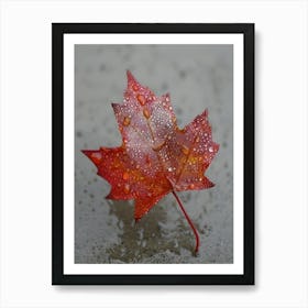 Maple Leaf With Raindrops Art Print