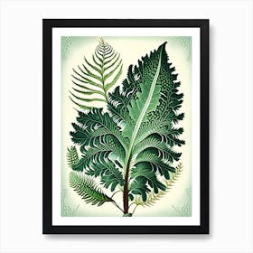 Soft Shield Fern 3 Vintage Botanical Poster Art Print